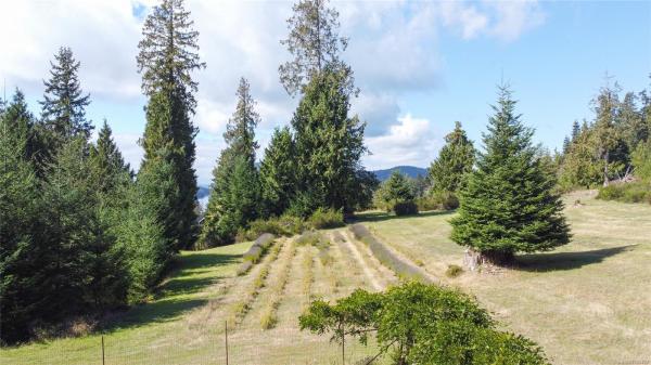 第7幅图片
