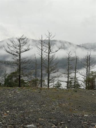 物业照片第1幅(共2幅)