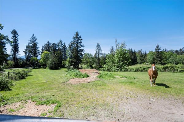 物业照片第1幅(共15幅)