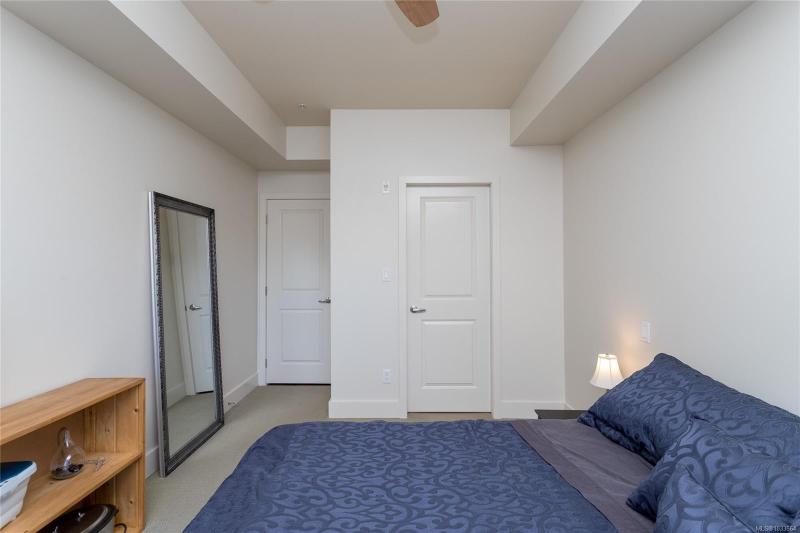 第19幅图片