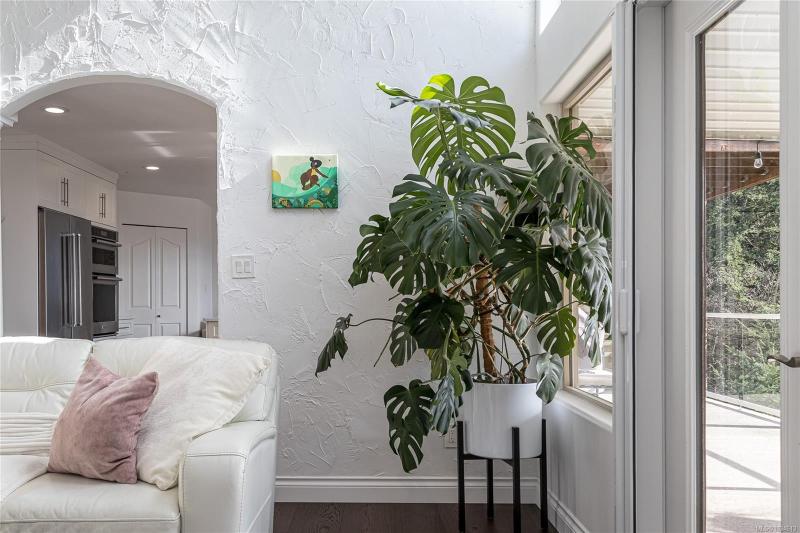 第9幅图片