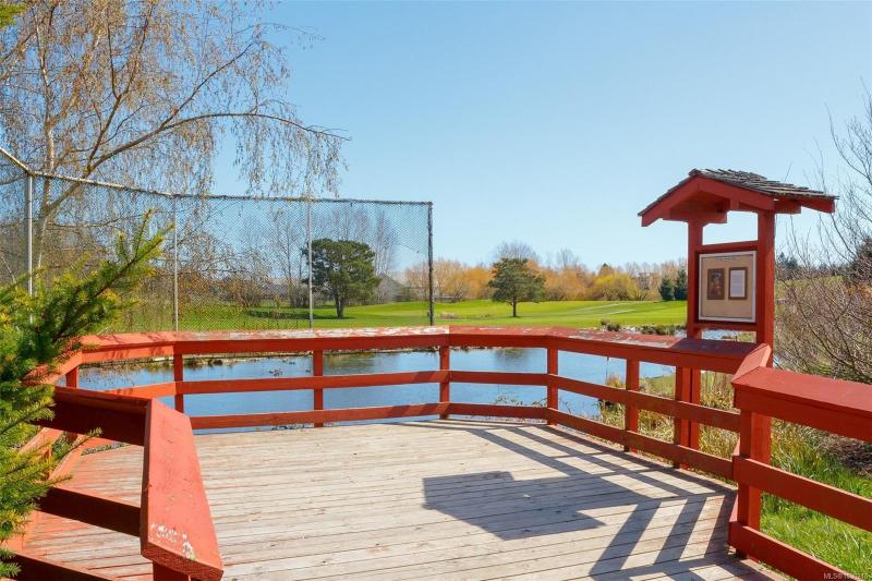 第30幅图片