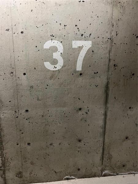 第27幅图片