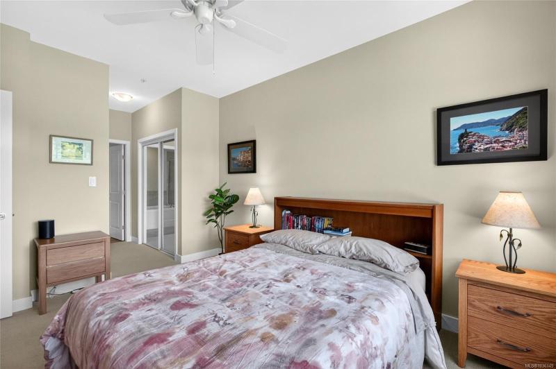 第17幅图片