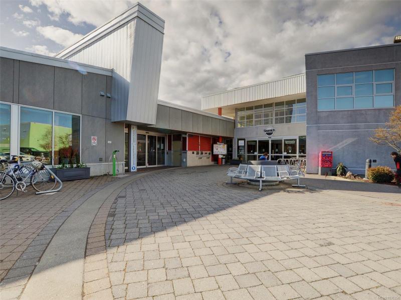 第29幅图片