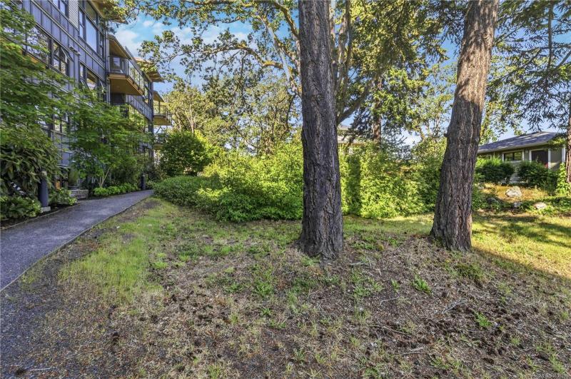 第22幅图片