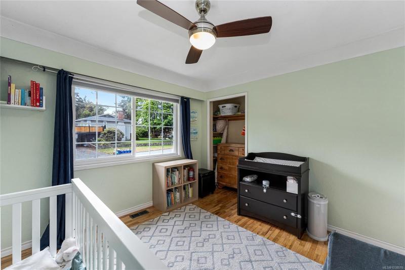 第17幅图片