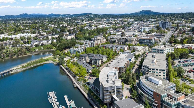第29幅图片