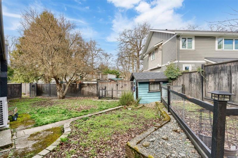 第35幅图片