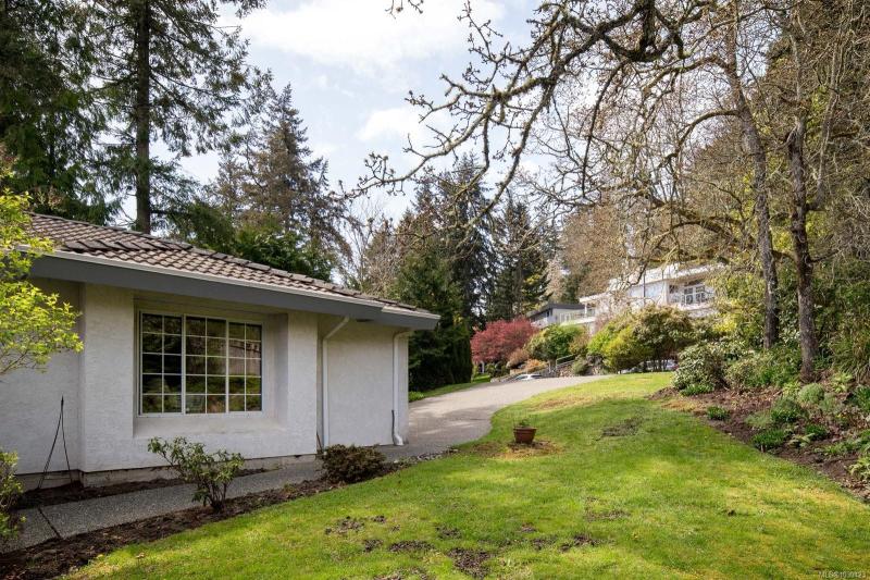第3幅图片