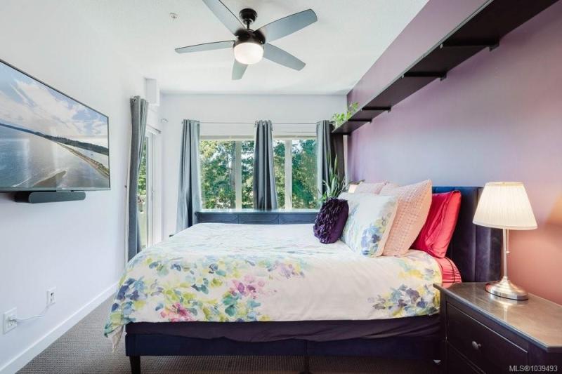 第8幅图片