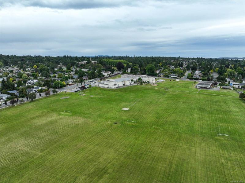 第39幅图片