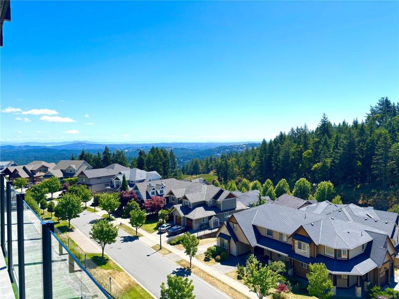 第15幅图片