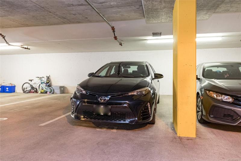 第24幅图片