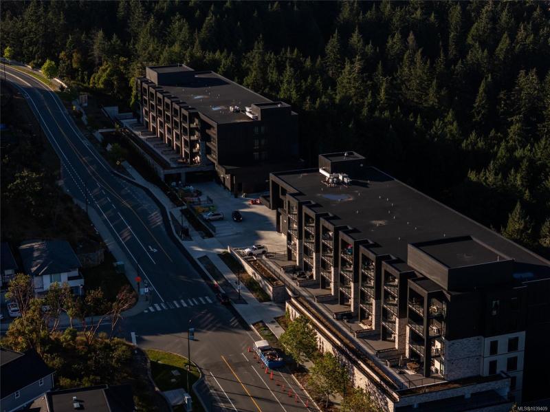 第36幅图片