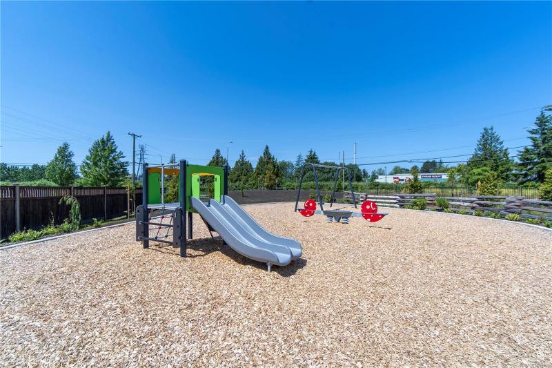 第39幅图片