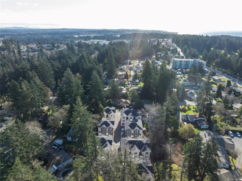 第31幅图片