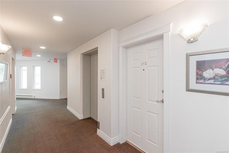第3幅图片