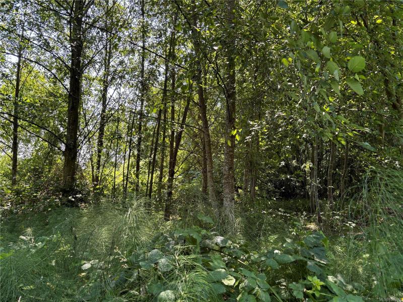 第20幅图片