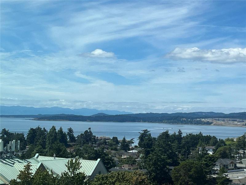 第17幅图片