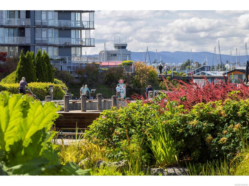 第28幅图片