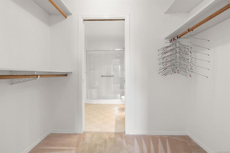 第17幅图片