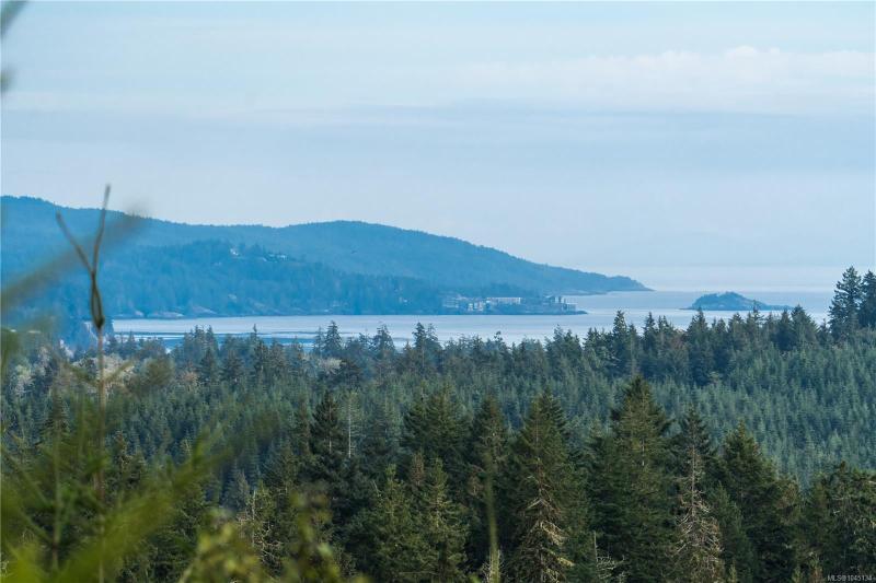 第22幅图片