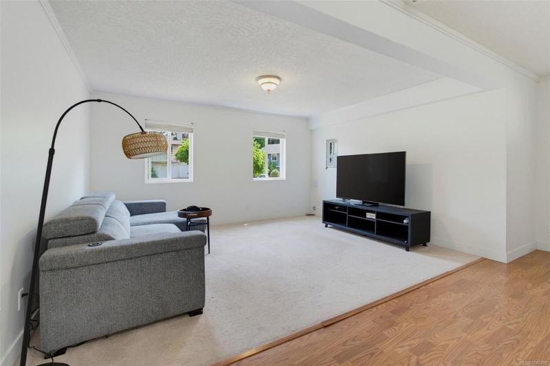 第26幅图片