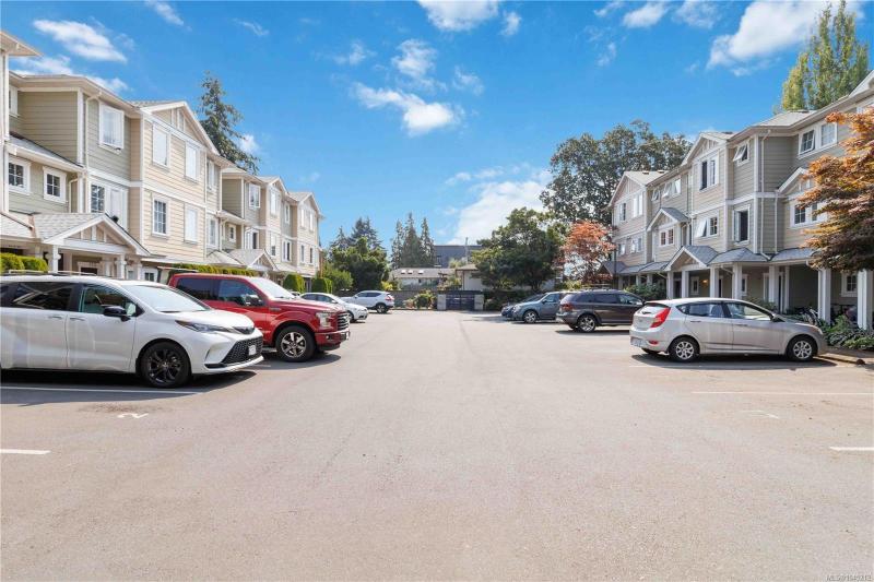 第4幅图片