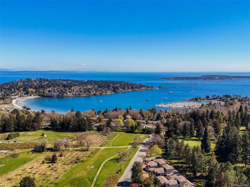 第36幅图片