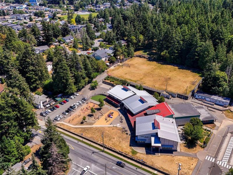 第31幅图片