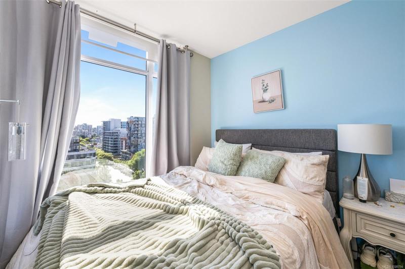 第14幅图片