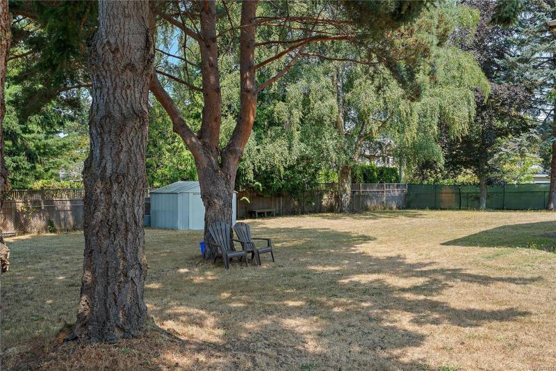 第16幅图片