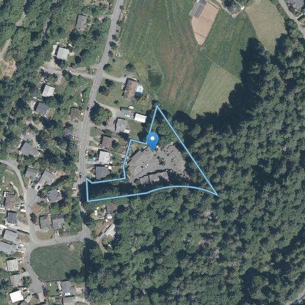 第39幅图片