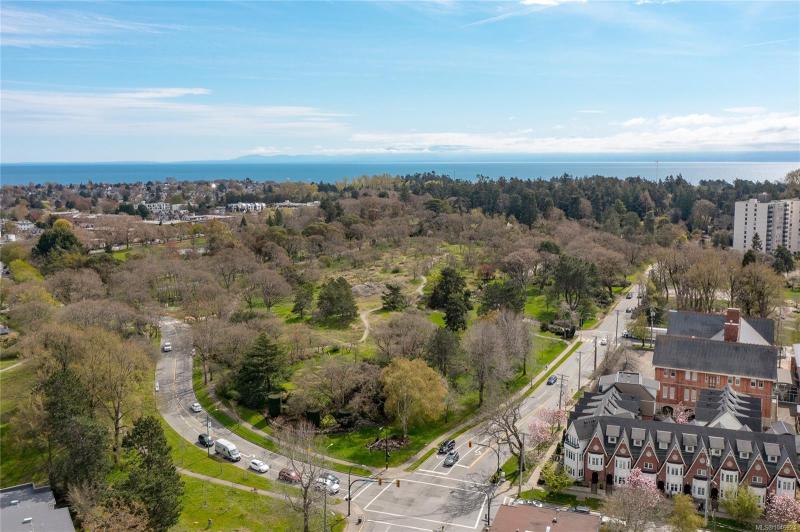 第29幅图片