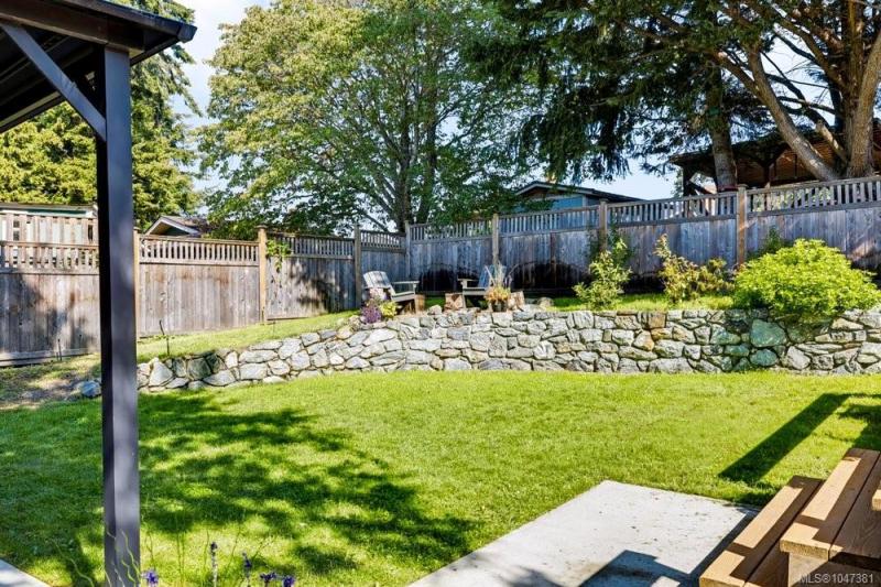 第21幅图片