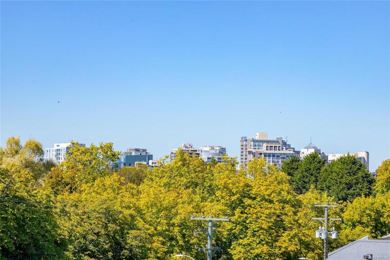 第34幅图片