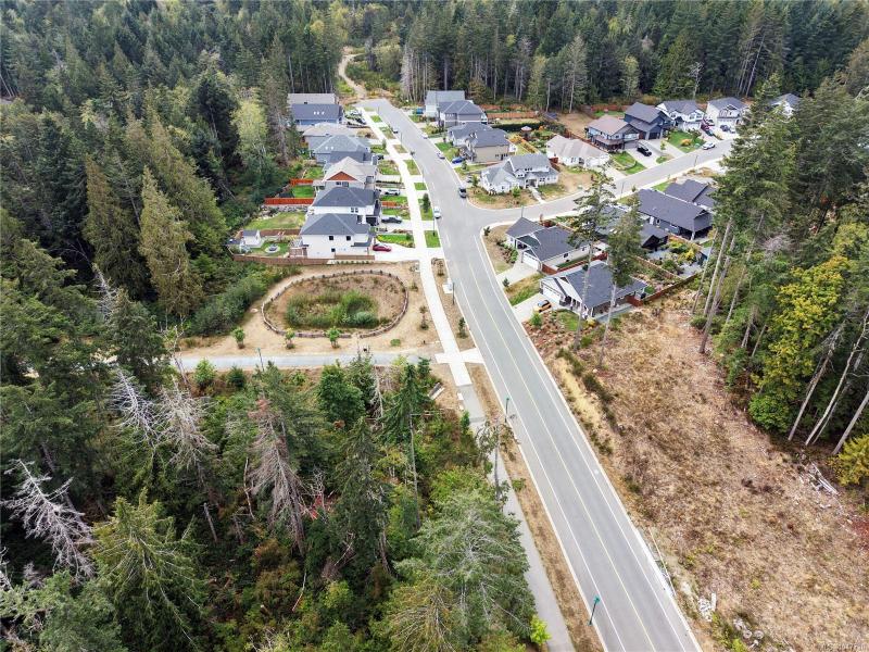第5幅图片