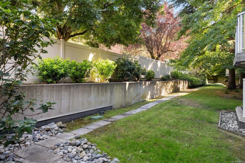 第29幅图片