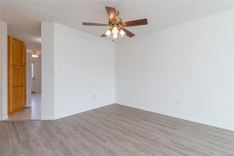 第9幅图片