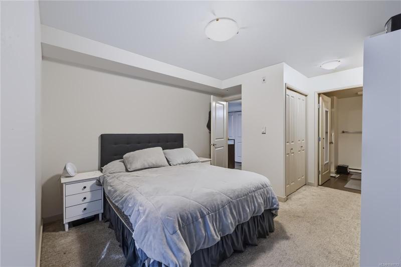 第14幅图片