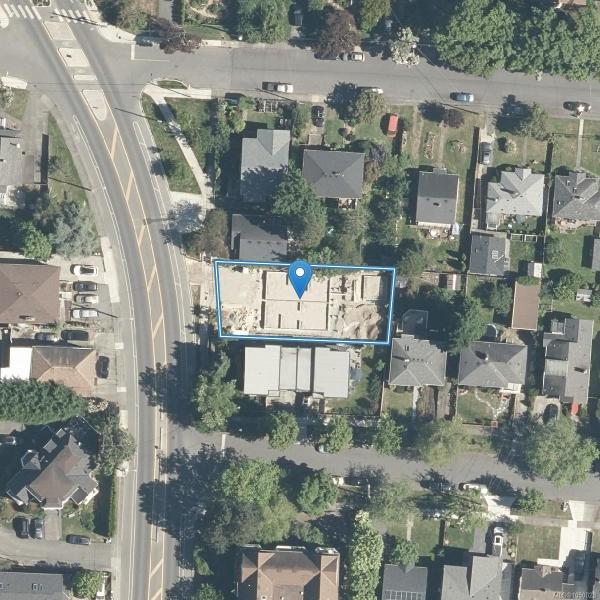 第39幅图片