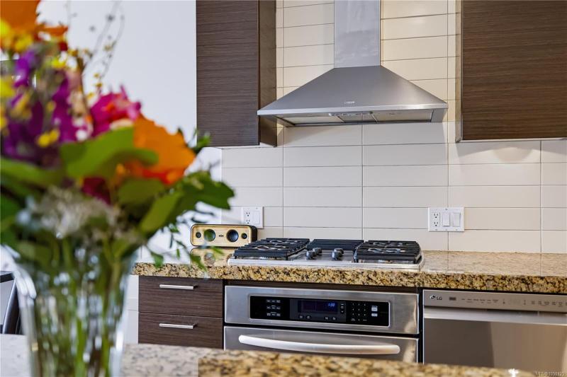 第9幅图片