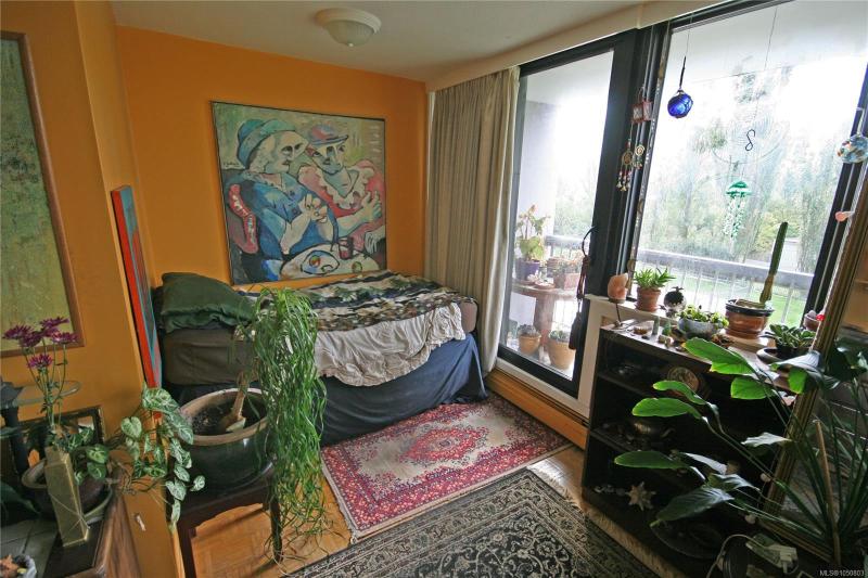 第5幅图片