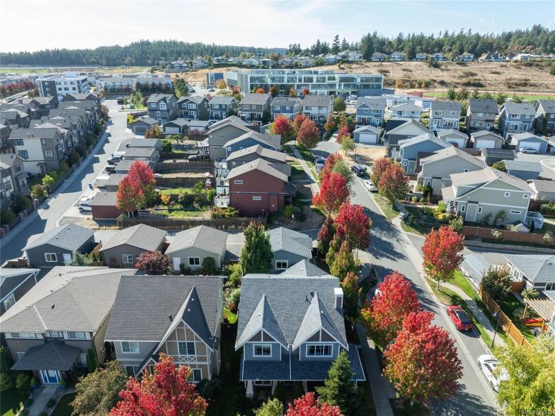 第4幅图片