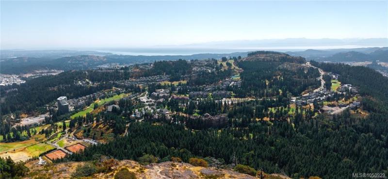第13幅图片