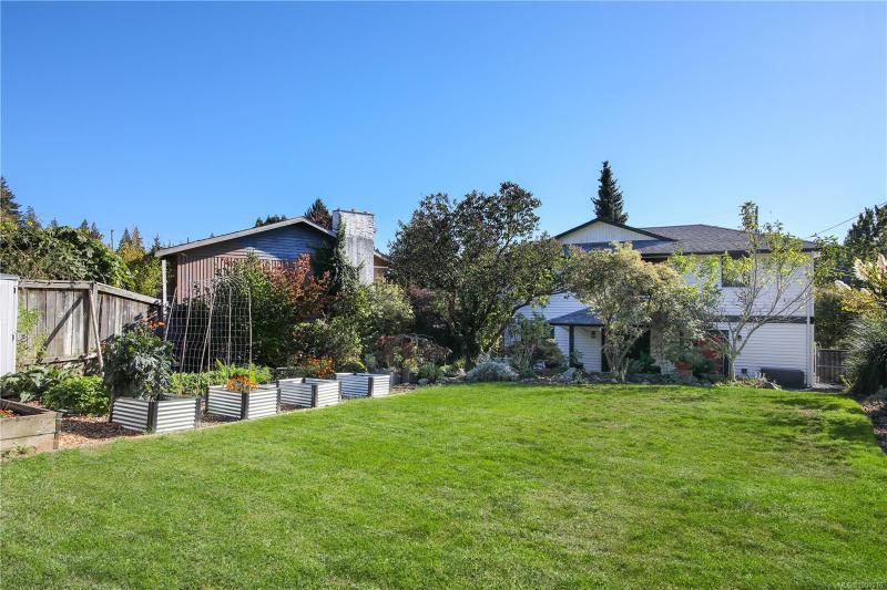 第26幅图片