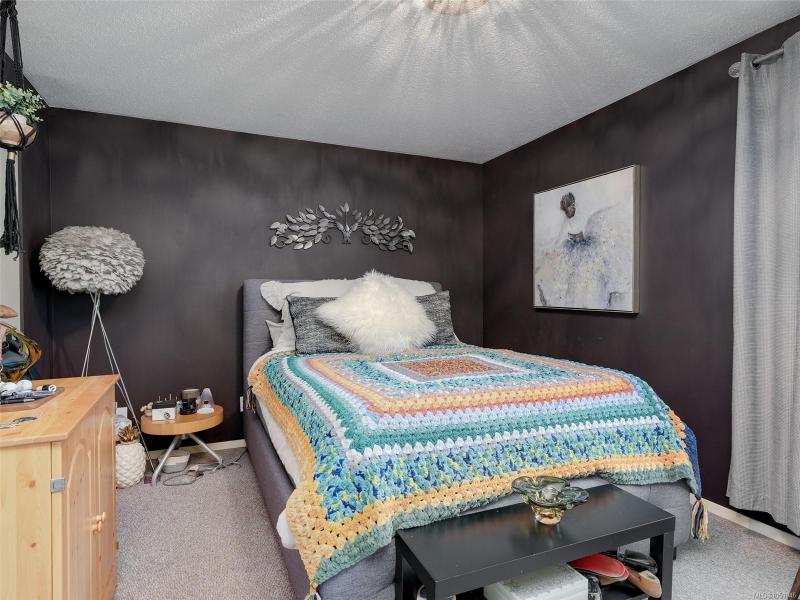 第13幅图片