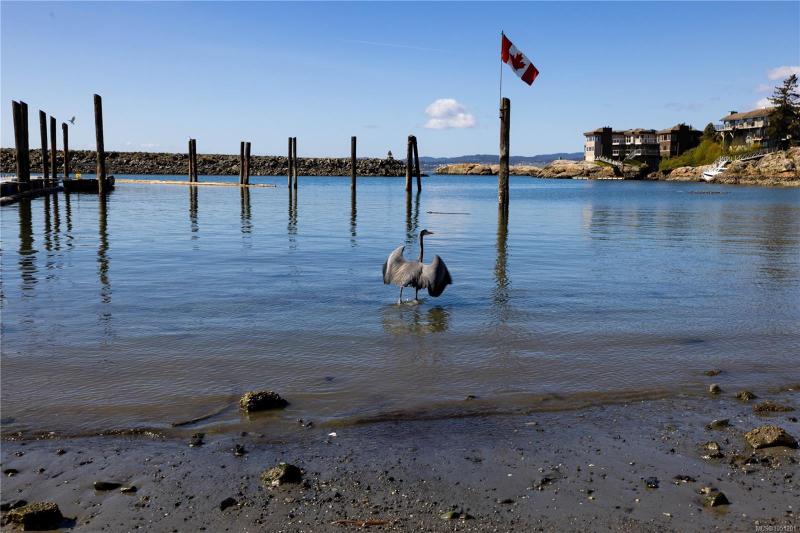 第38幅图片