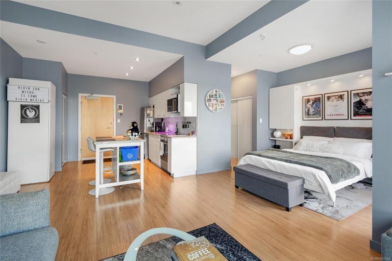 第8幅图片